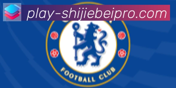 FIFA世界杯买球入口合作伙伴