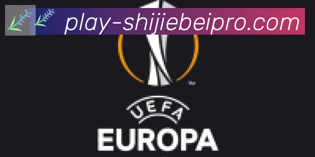 FIFA世界杯买球入口合作伙伴